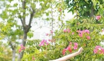 51cg0.co吃瓜必备：收藏下载指南全面解析