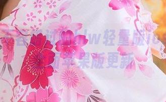 不容错过的hlw轻量版ios下载与全面苹果版更新