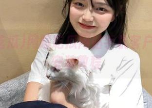 网曝吃瓜网站手机客户端下载安装教程