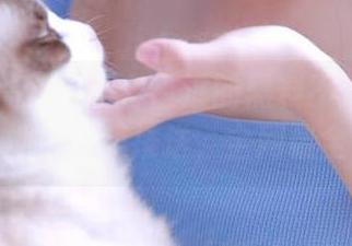 不容错过的黑料不打烊最新地址免费推送，全网最全